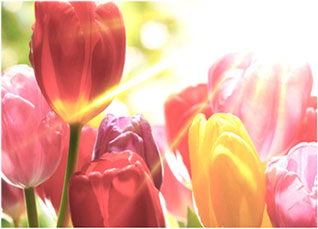 好博(中国)体育智能科技股份有限公司网站