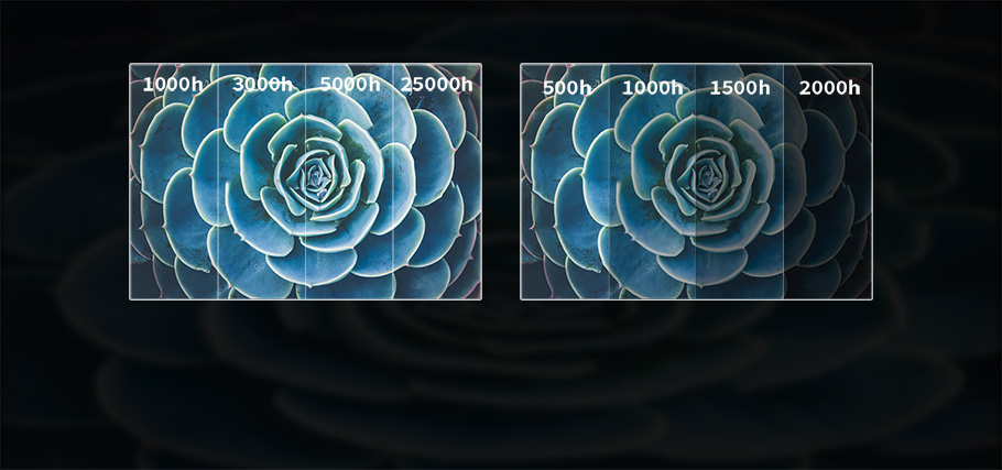 好博(中国)体育智能科技股份有限公司网站