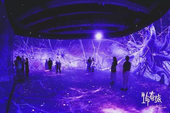 好博(中国)体育智能科技股份有限公司网站