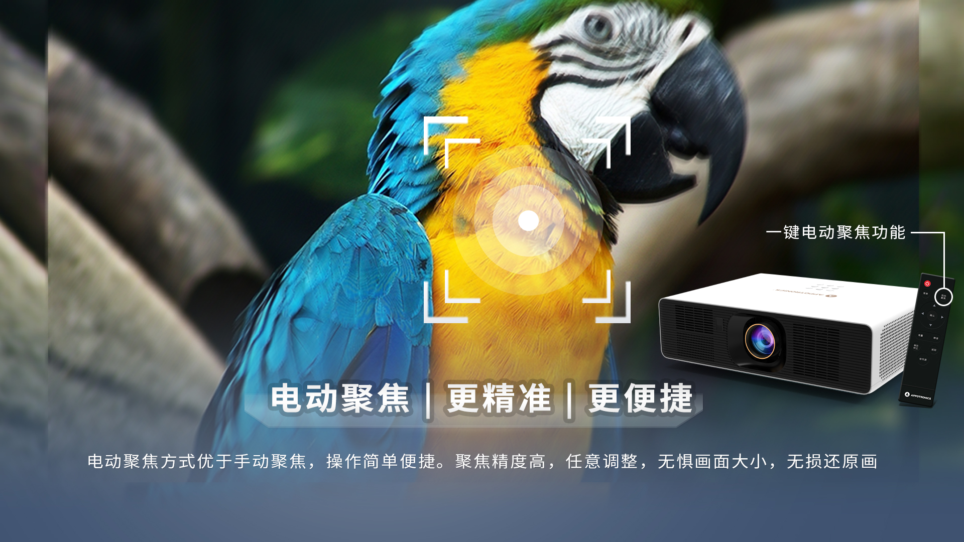 好博(中国)体育智能科技股份有限公司网站