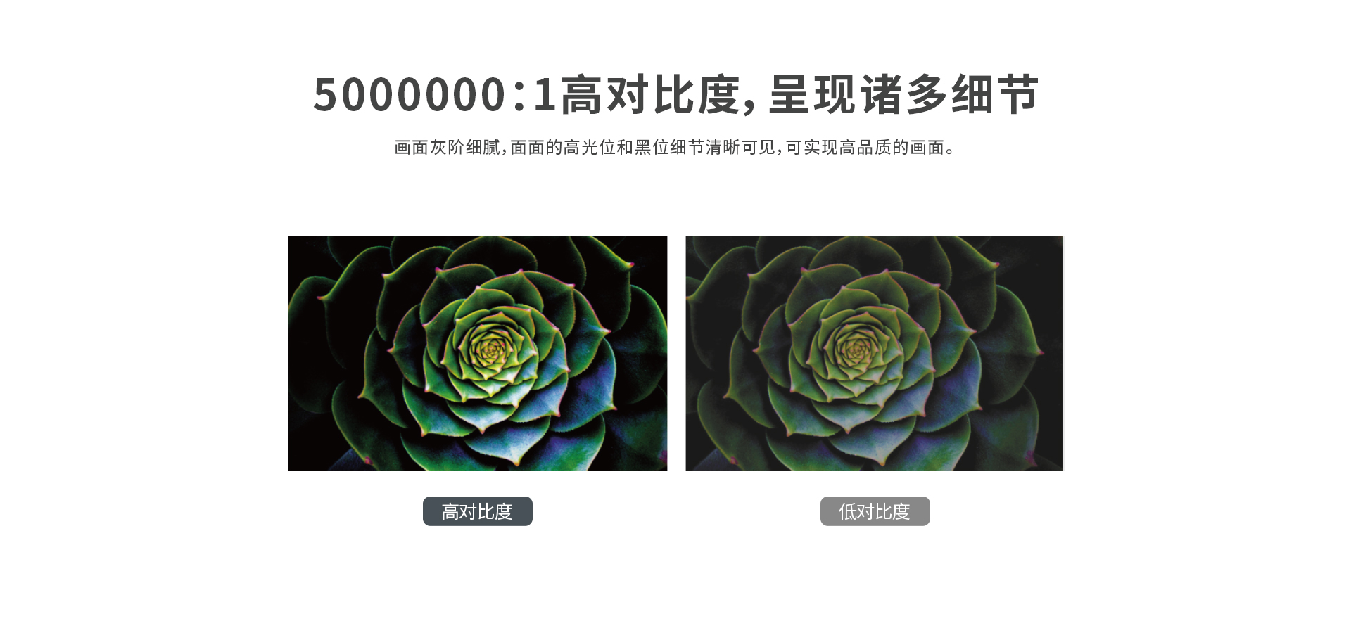 好博(中国)体育智能科技股份有限公司网站