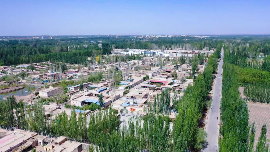 好博(中国)体育智能科技股份有限公司网站