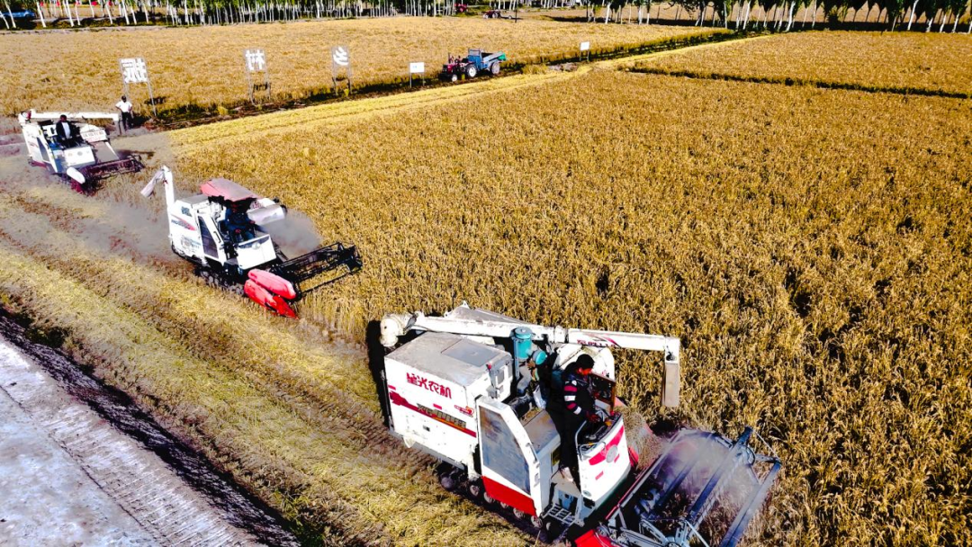 好博(中国)体育智能科技股份有限公司网站