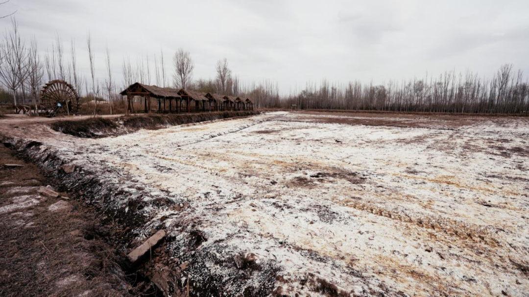 好博(中国)体育智能科技股份有限公司网站